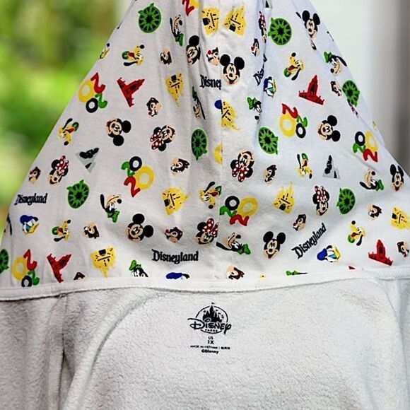 🔥🔥 DisneyParks Disneyland 2020 Hoodie Sweatshirt Jumper Zip-up jacket Size 1X - Picture 13 of 13